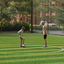 25 Lifestyle Amenities